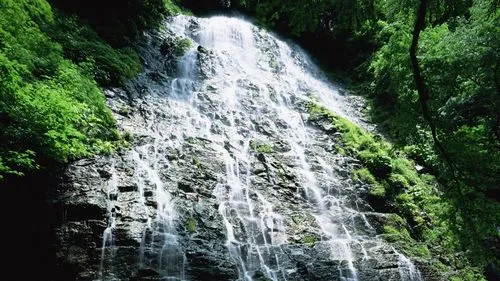 绿色高效环保